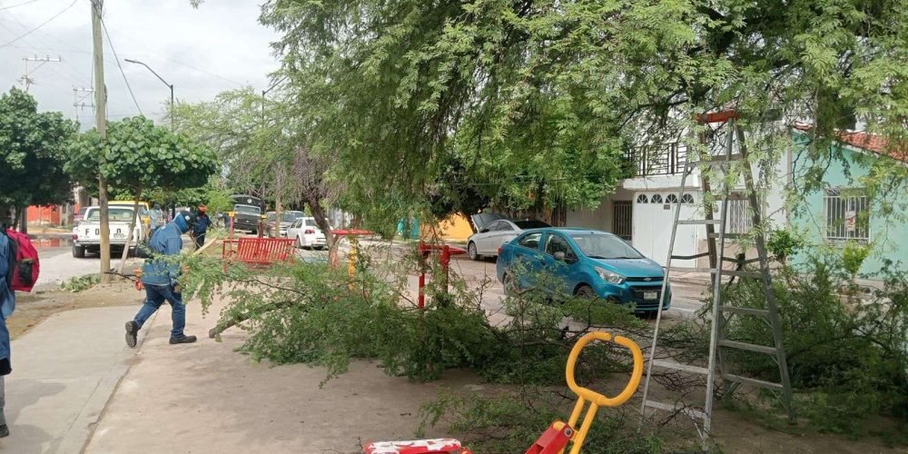 jornada-de-limpieza-gomez-palacio-2