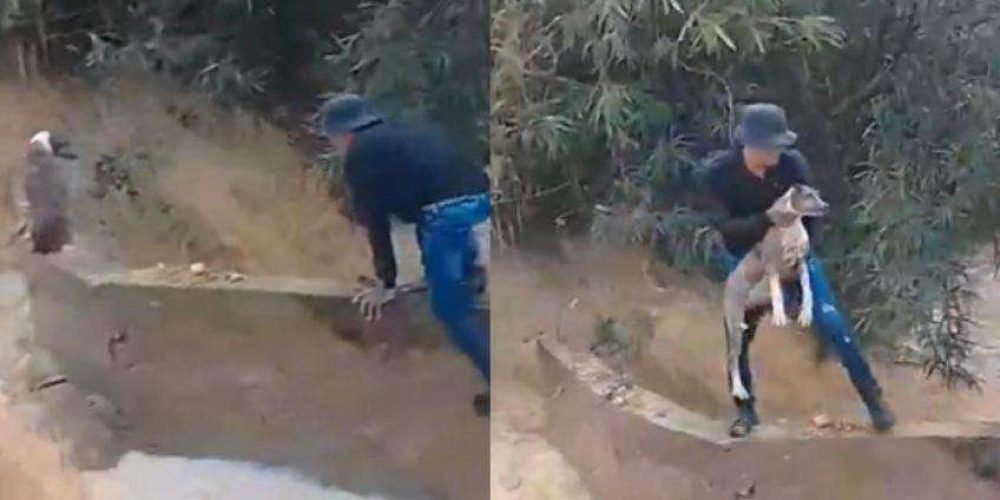 joven-salva-perrita-corriente-de-agua-colombia-heroe-sin-capa