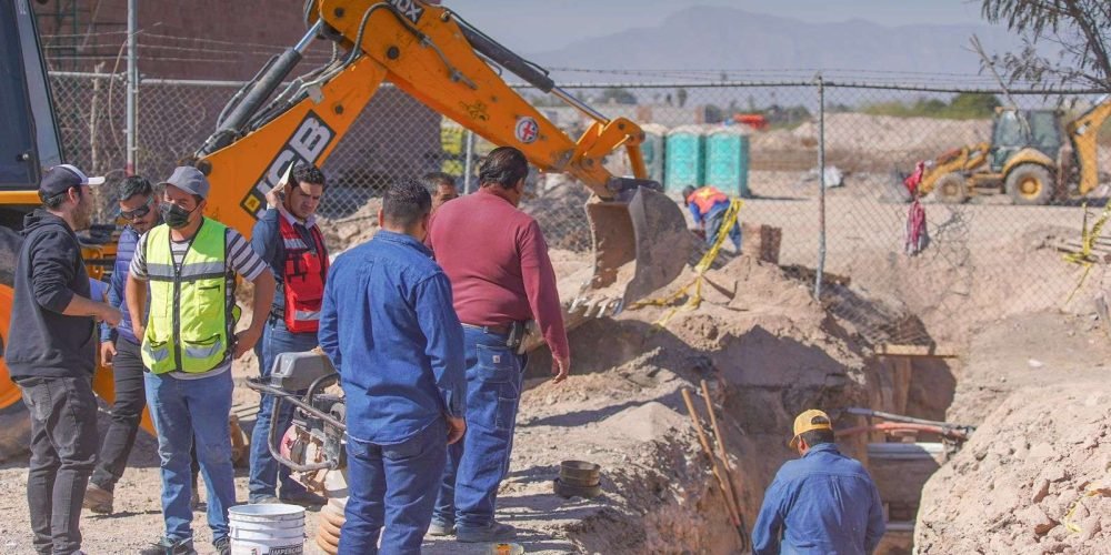 meses-de-poda-libre-en-gómez-palacio-1