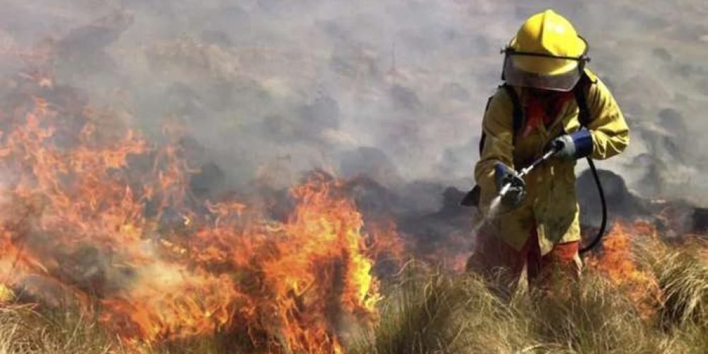 mexico-incendios-forestales-activos-marzo-2024
