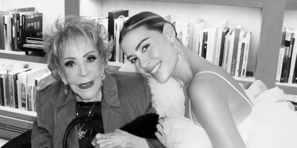 michelle-salas-seria-la-heredera-mayoritaria-de-silvia-pinal