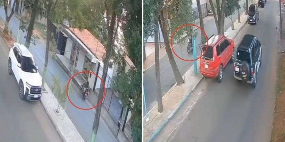 muere-motociclista-atropella-perro-luego-choca