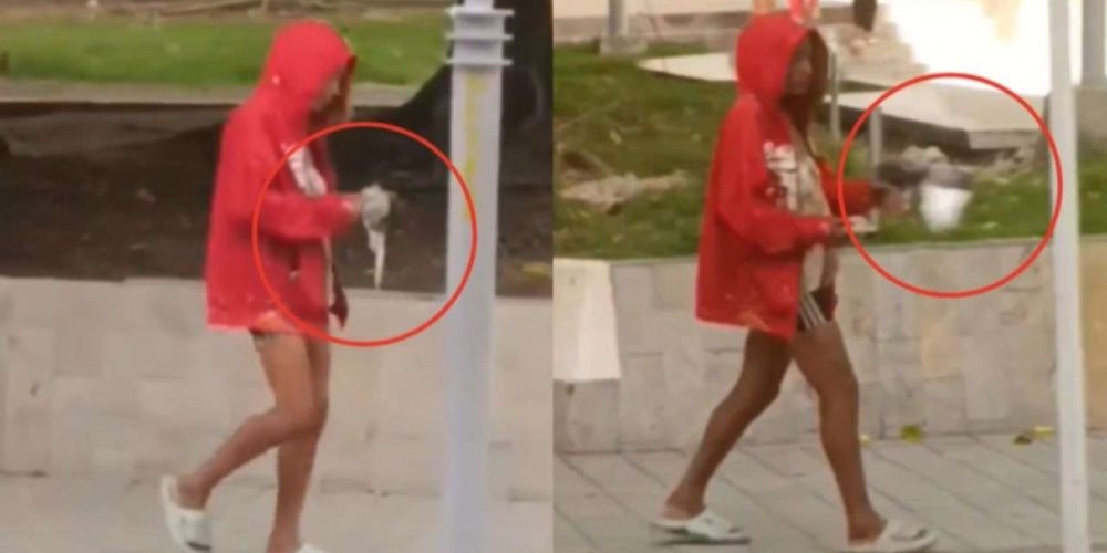 mujer-indigente-arranca-a-mordidas-cabeza-paloma