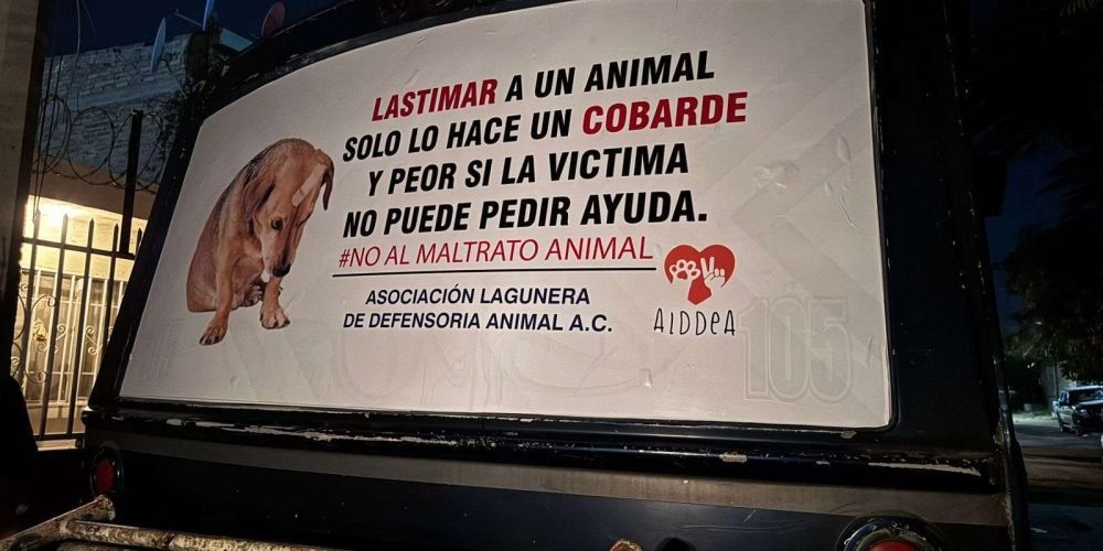 pancartas-maltrato-animal