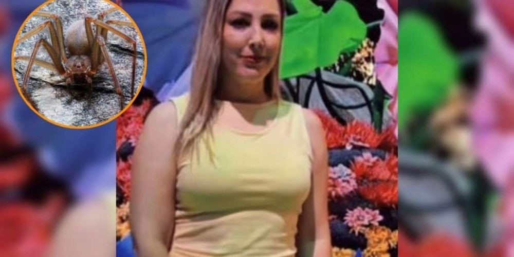 perla-patricia-morelos-muere-arana-violinista-nuevo-leon