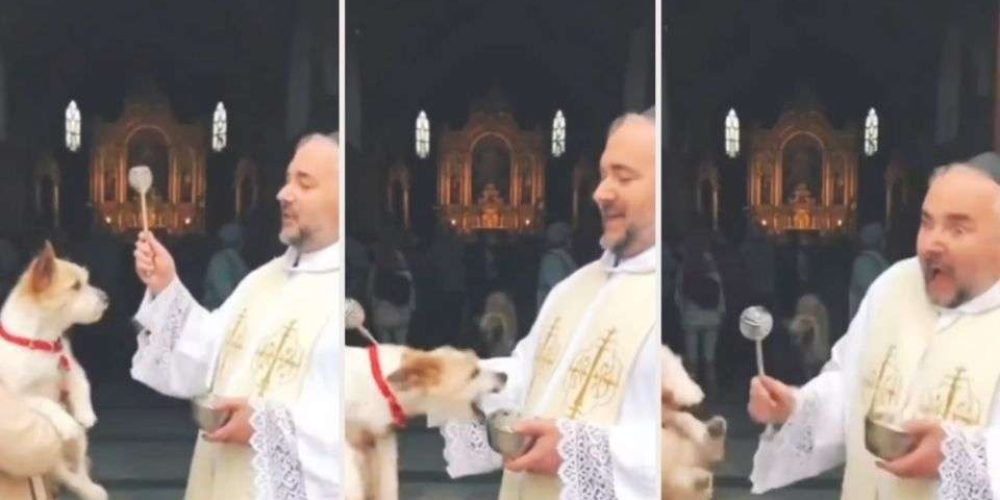 perrito-muerde-sacerdote-bendicion