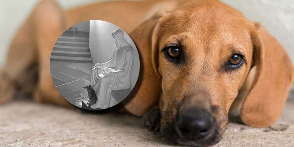 perrito-se-refugia-lluvia-estatua-de-jesus