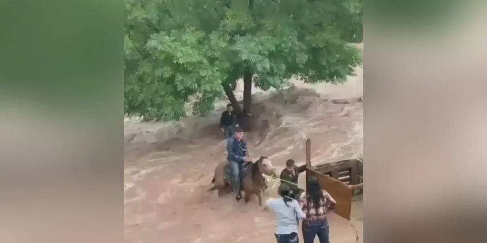 rescatan-caballos-cabalgata-tecate-2024-saltillo