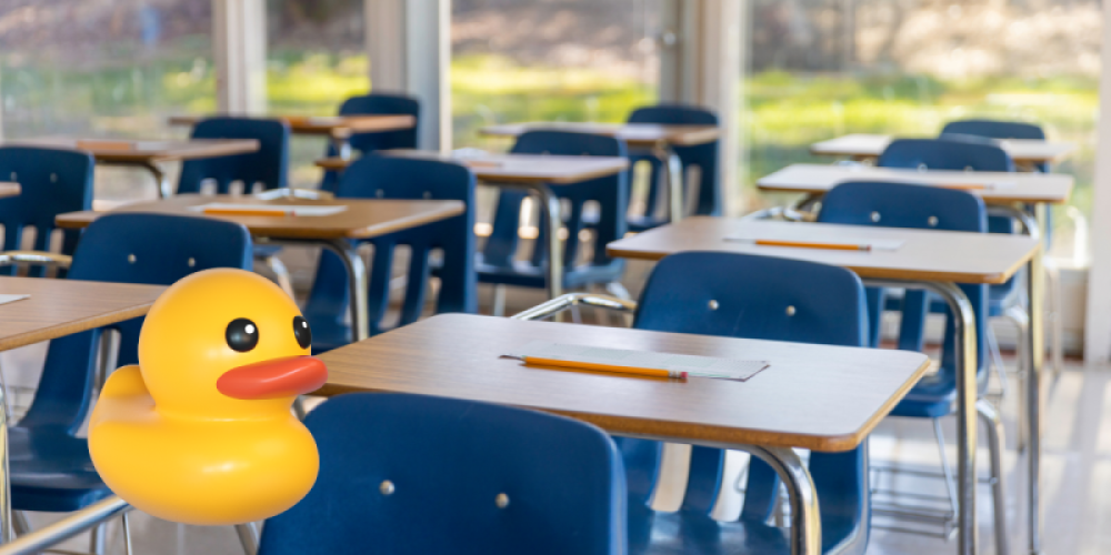 sep-denunciar-escuelas-patito-sin-rvoe