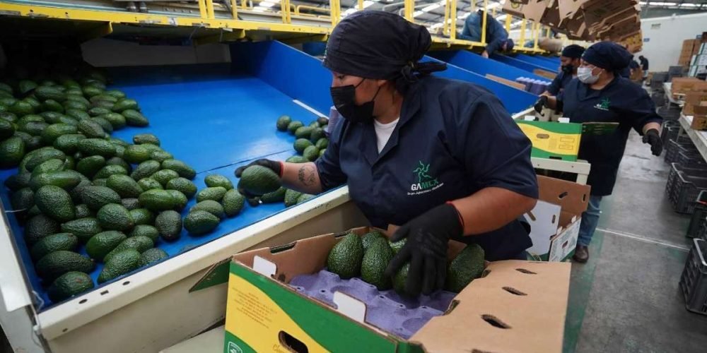 siete-estados-mexico-pierden-55-mil-empleos-julio-2024