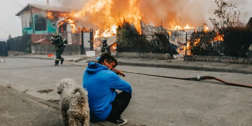 Chile: 18 muertos en incendios forestales en dos regiones del sur
