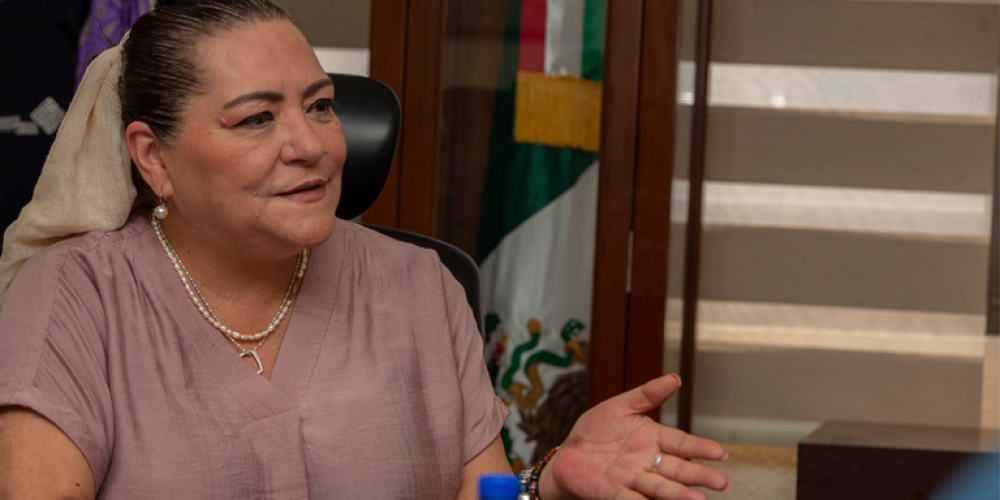 taddei-70-por-ciento-participacion-elecciones-2024
