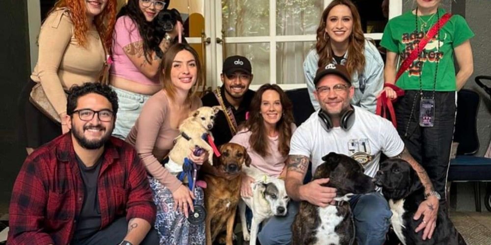 tom-hardy-refugio-perros