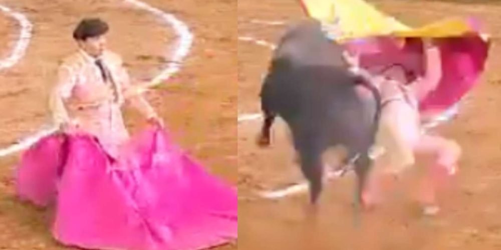 torero-cornado-en-la-cara-corrida-toros-febrero-2024