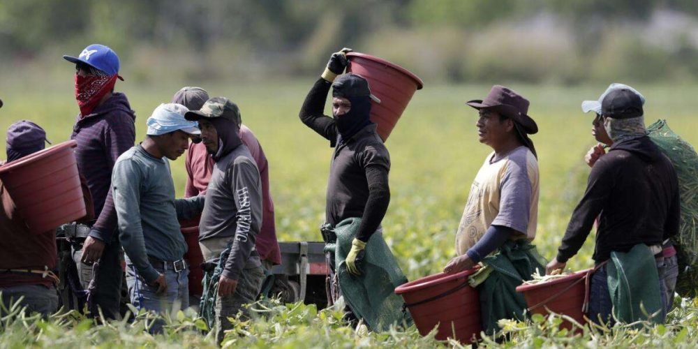 trabajadores-del-campo-estados-unidos