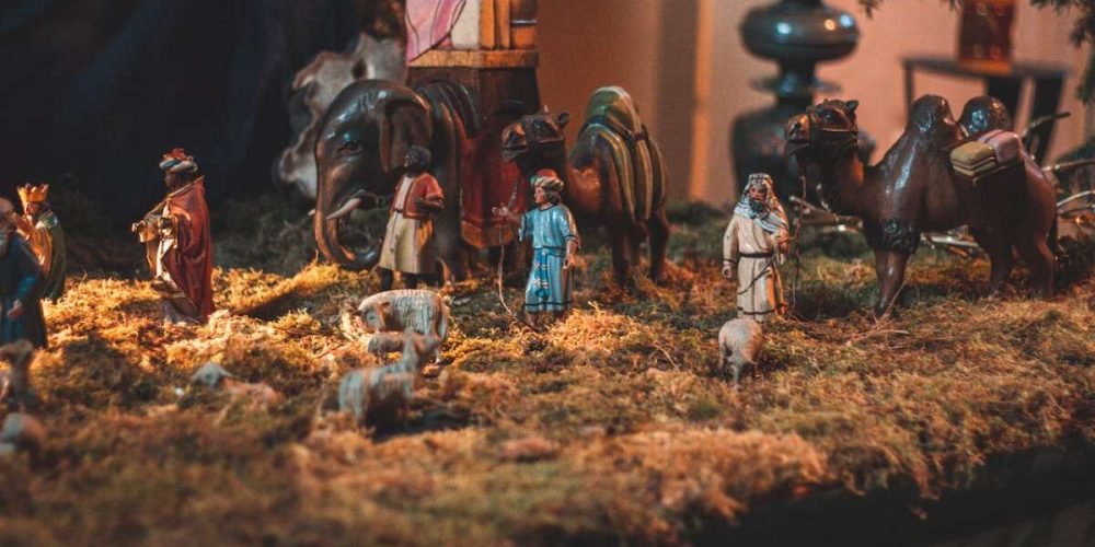 unam-alerta-musgo-navidad-nacimientos