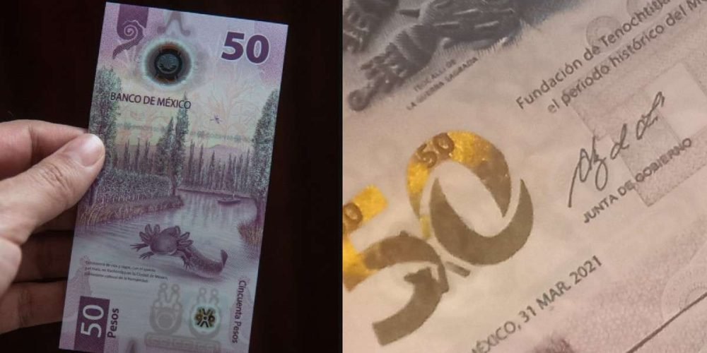 vende-billete-50-pesos-ajolote-pagar-quimioterapias