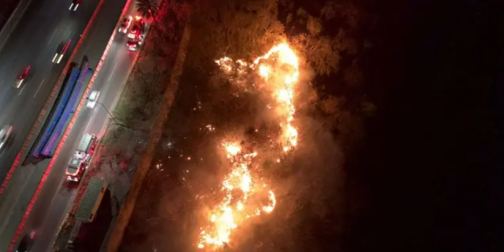 voraz-incendio-consume-400-metros-rio-santa-catarina