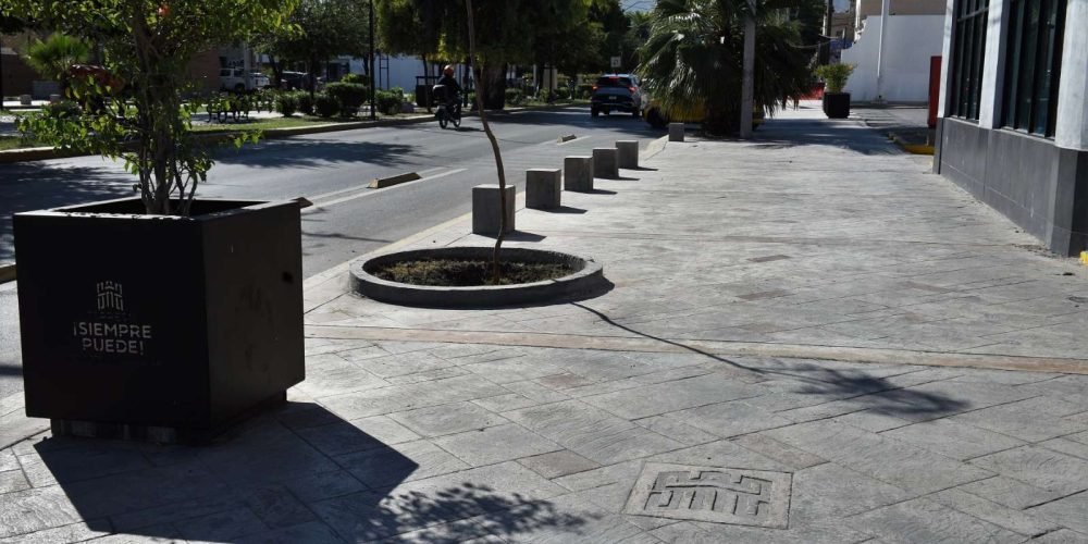 zona-centro-torreon